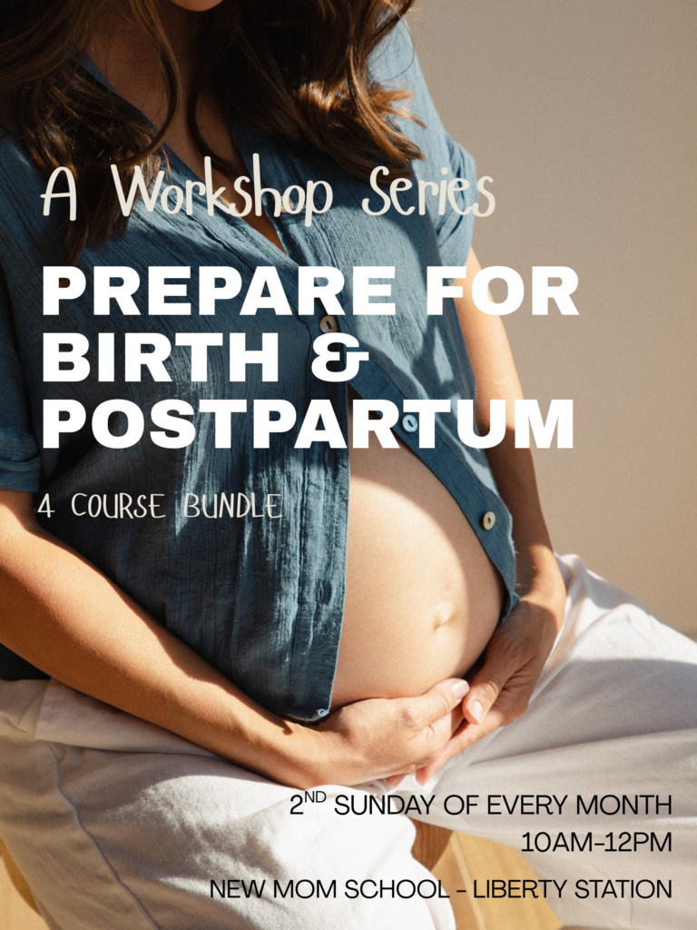 workshops new mom school workshops